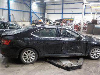 Skoda Superb Superb (3V3) Liftback 2.0 TDI (DDAA) [140kW]  (03-2015/...) picture 3