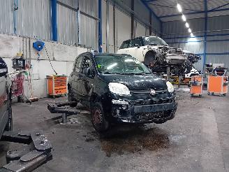 Fiat Panda Panda/Pandina (312) Hatchback 0.9 TwinAir Turbo 85 (312.A.2000) [63kW]=
  (02-2012/...) picture 2