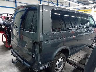 Volkswagen Transporter Transporter T6 Ch.Cab/Pick-up 2.0 TDI (CXHC) [81kW]  (07-2019/08-2024)= picture 3