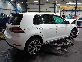 Volkswagen Golf Golf VII (AUA) Hatchback 2.0 GTI 16V Performance Package (DLBA) [180kW=
]  (03-2017/08-2020) picture 3