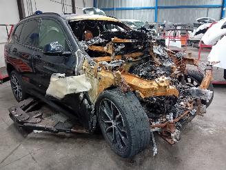 BMW X3 X3 (G01) SUV xDrive 20i 2.0 TwinPower Turbo 16V (B48-B20A) [135kW]  (1=
2-2017/...) picture 2