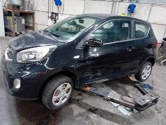 Salvage car Kia Picanto Picanto (TA) Hatchback 1.0 12V (G3LA) [51kW]  (05-2011/06-2017) 2012/8