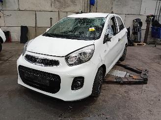 Vrakbiler auto Kia Picanto Picanto (TA) Hatchback 1.0 12V (G3LA) [49kW]  (05-2011/06-2017) 2016/2