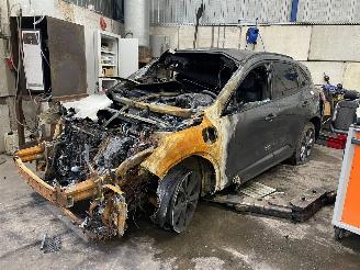 Sloopauto Ford Kuga Kuga III (DFK) SUV 2.5 PHEV 16V (BGDA) [165kW]  (07-2019/...) 2023/7