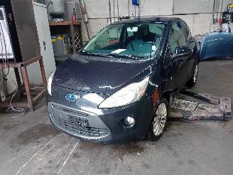 Vrakbiler auto Ford Ka Ka II Hatchback 1.2 (169.A.4000(Euro 4; Euro 5)) [51kW]  (10-2008/05-2=
016) 1980