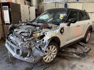 rozbiórka samochody osobowe Mini Countryman Countryman (F60) SUV 1.5 TwinPower Turbo 12V Cooper SE ALL4 (IA1) [162=
kW]  (07-2020/...) 2021/2