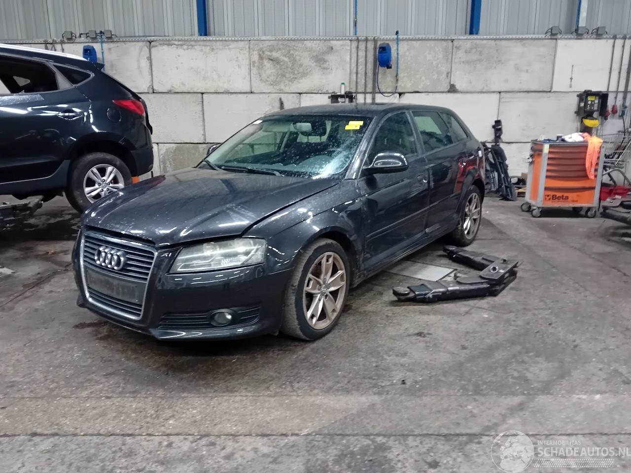 Audi A3 A3 Sportback (8PA) Hatchback 5-drs 1.4 TFSI 16V (CAXC) [92kW]  (09-200=
7/03-2013)