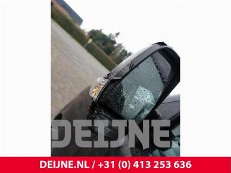 Fiat Doblo Doblo (263), MPV, 2010 / 2023 1.3 D Multijet picture 14