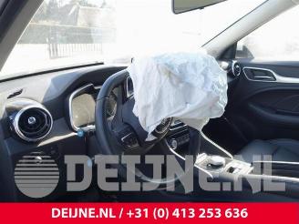 MG ZS ZS, SUV, 2019 EV picture 18