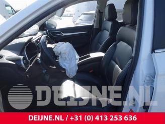 MG ZS ZS, SUV, 2019 EV picture 20