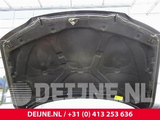 Volvo S-80  picture 12