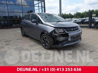 Coche siniestrado BYD Dolphin Dolphin, Hatchback 5-drs, 2021 60 kWh 2024