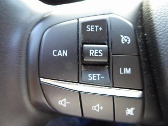 Ford Focus Active picture 11