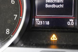 Volkswagen Golf  picture 13