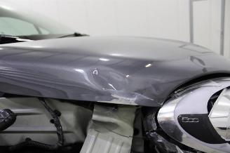 Fiat 500X  picture 20