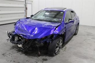 Auto incidentate Lexus UX  2020/8
