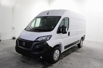 Vrakbiler auto Fiat Ducato  2025/1