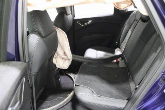 Audi Q4 e-tron picture 13