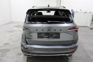 Skoda Karoq  picture 10