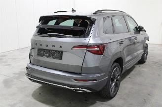 Skoda Karoq  picture 3
