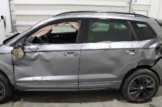 Skoda Karoq  picture 22