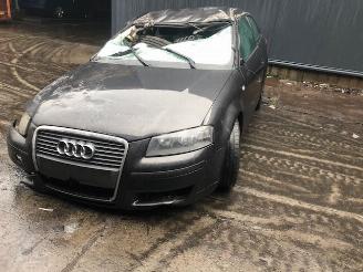 Dezmembrări autoturisme Audi A3 DIESEL - 1900CC - 77KW 2007/1