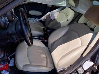 Mini Countryman  picture 23