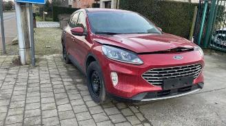 Sloopauto Ford Kuga Kuga III (DFK), SUV, 2019 1.5 EcoBlue 2020/7