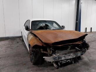 BMW 2-serie 2 serie (F22), Coupe, 2013 / 2021 218d 2.0 16V picture 12