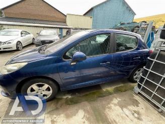 Peugeot 207 207/207+ (WA/WC/WM), Hatchback, 2006 / 2015 1.4 16V picture 8
