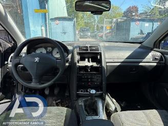 Peugeot 407 407 SW (6E), Combi, 2004 / 2010 2.0 16V picture 13