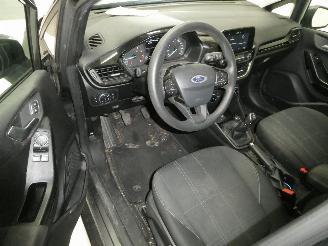 Ford Fiesta BUSINESS picture 12