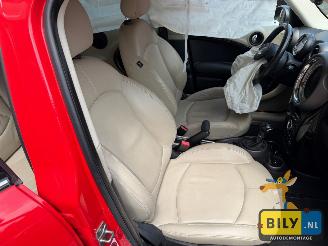 Mini Countryman  picture 15