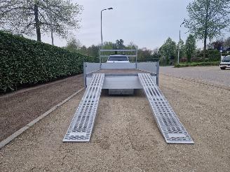 Henra  400CM x 200CM MET RIJPLATEN picture 11