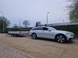 Henra  400CM x 200CM MET RIJPLATEN picture 8