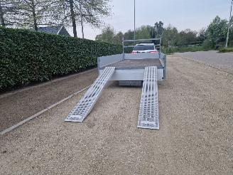 Henra  400CM x 200CM MET RIJPLATEN picture 4