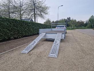Henra  400CM x 200CM MET RIJPLATEN picture 3
