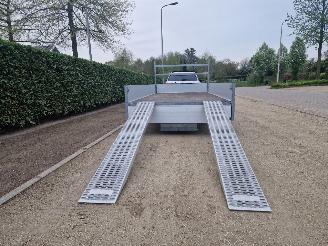 Henra  400CM x 200CM MET RIJPLATEN picture 10