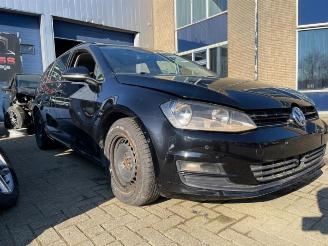 Volkswagen Golf Golf VII Variant (AUVV), Combi, 2013 / 2021 1.6 TDI 16V picture 6