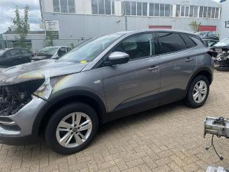 Opel Grandland Grandland (X), SUV, 2017 1.5 CDTI 130 picture 2