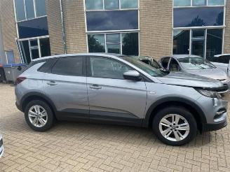 Opel Grandland Grandland (X), SUV, 2017 1.5 CDTI 130 picture 6