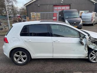 Volkswagen Golf Golf VII (AUA), Hatchback, 2012 / 2021 1.4 TSI 16V picture 6