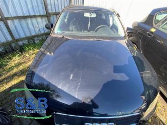 Audi A3 A3 (8P1), Hatchback 3-drs, 2003 / 2012 2.0 16V FSI picture 11