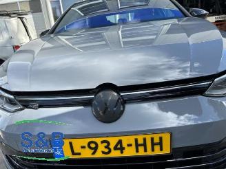 Volkswagen Golf Golf VIII (CD1), Hatchback, 2019 1.5 eTSI 16V picture 32
