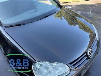 Volkswagen Golf Golf V (1K1), Hatchback, 2003 / 2010 1.9 TDI picture 20