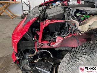 Volkswagen Beetle  picture 5