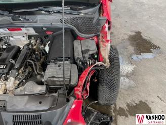 Volkswagen Beetle  picture 6