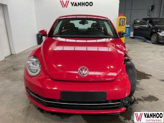 Volkswagen Beetle  picture 2