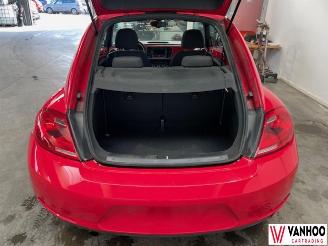 Volkswagen Beetle  picture 15