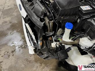 Ford Fiesta  picture 10